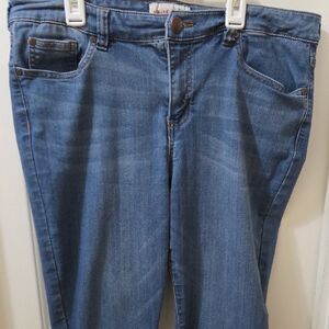 Molly & Isadora Blue Women's Skinny Jeans